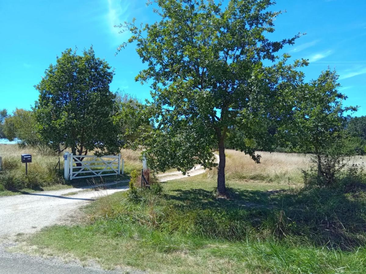 Ferme Ahoco Chambre D'Hotes Residence D'Artistes Lavit Exterior photo